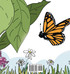The Story of Two Monarchs
