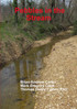 Pebbles in the Stream