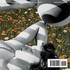 Issue 13 / December 2013