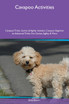 Cavapoo Activities  Cavapoo Tricks, Games & Agility Includes
