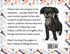 Palusa, the Bilingual Pup