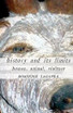 History and Its Limits