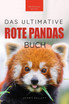 Rote Pandas Das Ultimative Buch