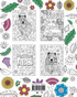 Quokka Coloring Book