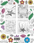 Starfish Coloring Book
