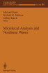 Microlocal Analysis and Nonlinear Waves