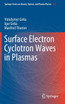 Surface Electron Cyclotron Waves in Plasmas