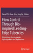 Flow Control Through Bio-inspired Leading-Edge Tubercles