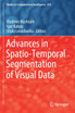 Advances in Spatio-Temporal Segmentation of Visual Data