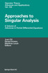 Approaches to Singular Analysis