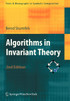 Algorithms in Invariant Theory