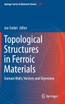 Topological Structures in Ferroic Materials