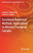 Functional Numerical Methods