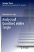 Analysis of Quantised Vortex Tangle