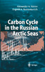 Carbon Cycle in the Russian Arctic Seas