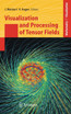 Visualization and Processing of Tensor Fields