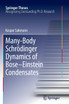 Many-Body Schrödinger Dynamics of Bose-Einstein Condensates