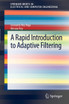 A Rapid Introduction to Adaptive Filtering