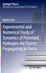 Experimental and Numerical Study of Dynamics of Premixed Hydrogen-Air Flames Propagating in Ducts