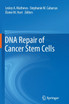 DNA Repair of Cancer Stem Cells