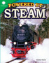 Powered by Steam