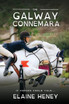 The Galway Connemara | The Autobiography of an Irish Connemara Pony - Dyslexia Friendly