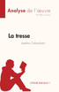 La tresse de Laetitia Colombani (Analyse de l'œuvre)