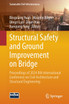Structural Safety and Ground Improvement on Bridge