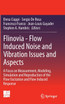 Flinovia - Flow Induced Noise and Vibration Issues and Aspects