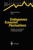 Endogenous Economic Fluctuations