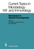 Mechanisms in Myeloid Tumorigenesis 1988