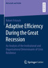 Adaptive Efficiency During the Great Recession