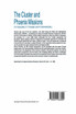 The Cluster and Phoenix Missions