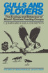 Gulls and Plovers