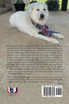 A Dog and a Quest