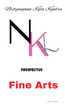 NKK Prospectus