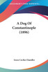 A Dog Of Constantinople (1896)