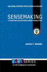Sensemaking