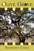 Olive Grove