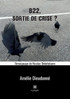 B22, sortie de crise ?
