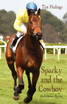 Sparky and the Cowboy