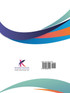 One Hundred Cartoons (1916)