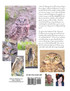 The Comeback Kids, Book 8, the Antioch Burrowing Owl