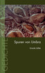 Spuren von Umbra