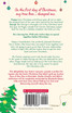 Twelve Days to Save Christmas