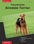 Traumrasse Airedale Terrier