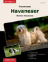 Traumrasse Havaneser