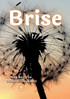 Brise