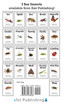Stink Bug