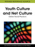 Youth Culture and Net Culture